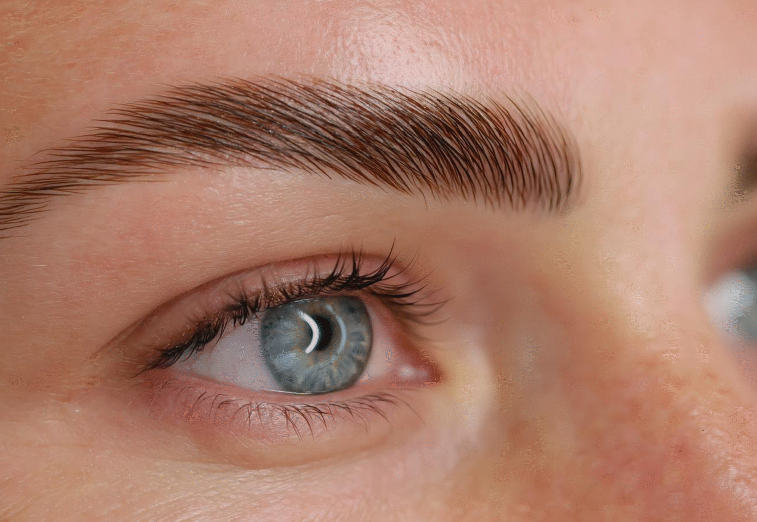 Untitled design - 2025-09-24T104628.687